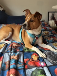 Chloe