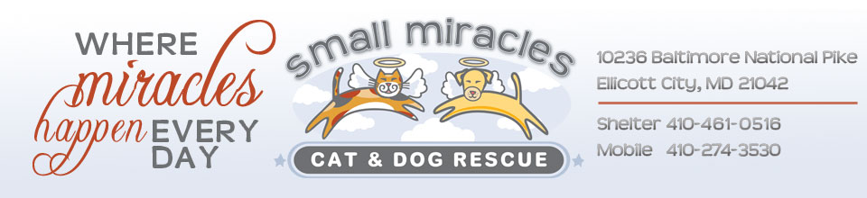 Small Miracles banner